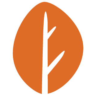 clicknfunhubs.com favicon